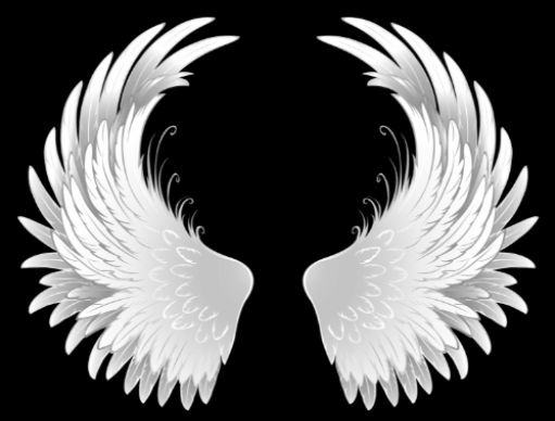 JinByte | Creative web experiences