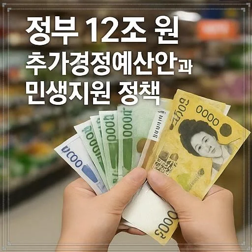 정부의 12조 원 추가경정예산안과 민생지원 정책 총정리 - 추가경정예산안 (2)