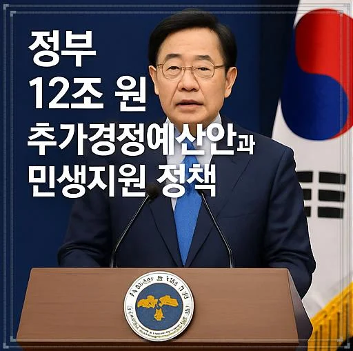 정부의 12조 원 추가경정예산안과 민생지원 정책 총정리 - 추가경정예산안 (3)
